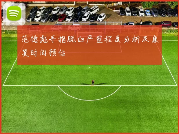 范德彪手指脱臼严重程度分析及康复时间预估